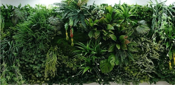 Eventos Green
